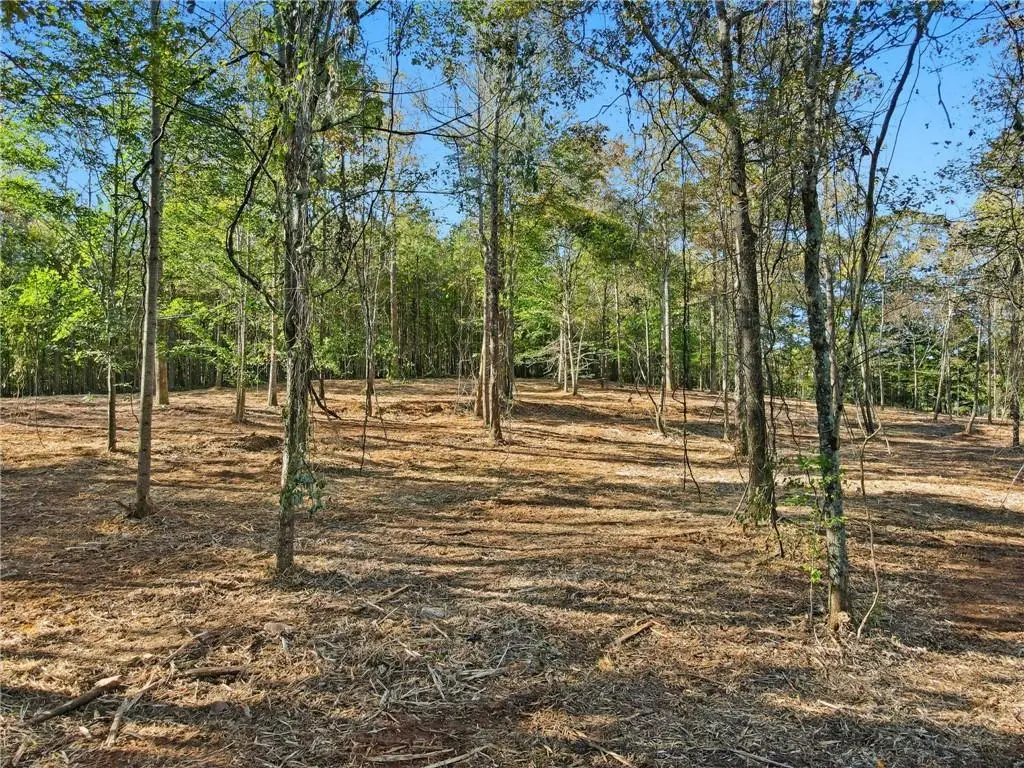 13630 Birmingham Highway, Alpharetta, GA 30004 - Image #1