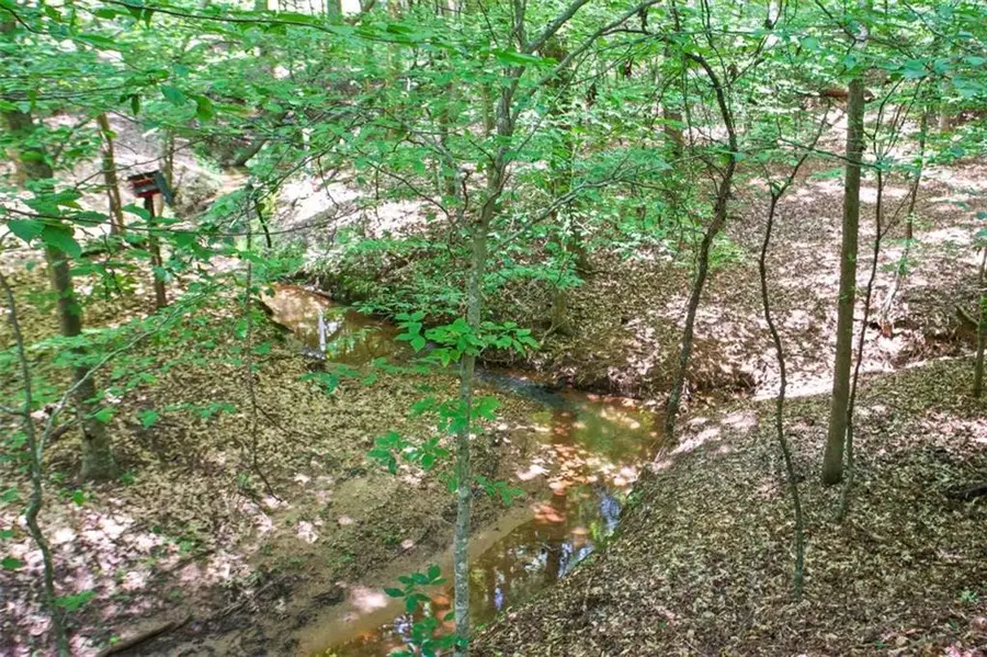 LOT20A Tanglewood Road, Newnan, GA 30263 - Image #3