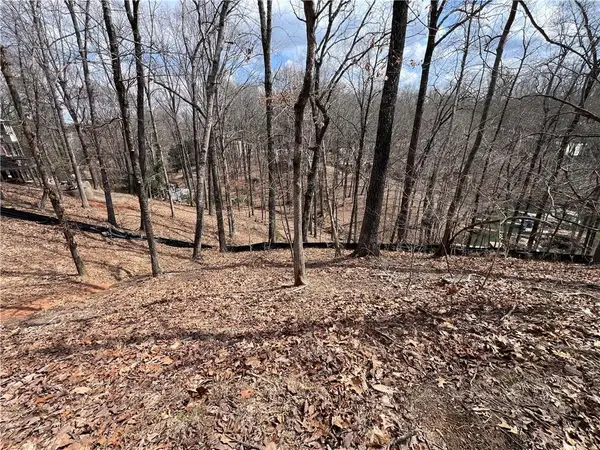 3393 Banks Mountain Drive, Gainesville, GA 30506