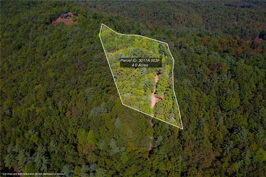 3 Stevens Ridge Road, Ellijay, GA 30540 - Image #2