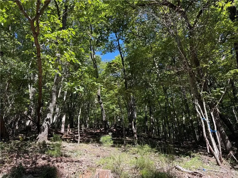 0 Moss Patch Trail, Jasper, GA 30143 - Image #2