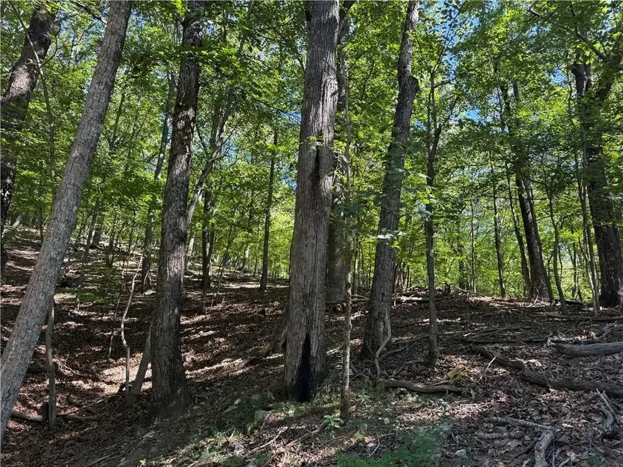 0 Moss Patch Trail, Jasper, GA 30143 - Image #3