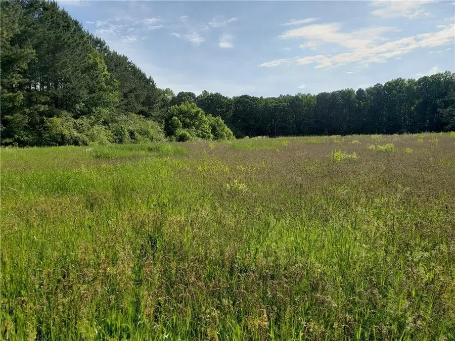 8143 East Cherokee Drive, Canton, GA 30115 - Image #2