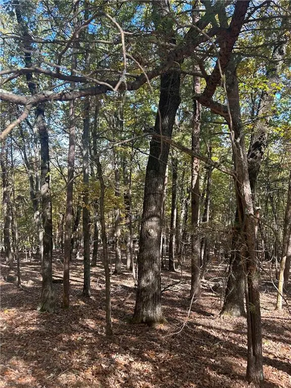 162 Fort Wayne Drive, Waleska, GA 30183 - Image #3