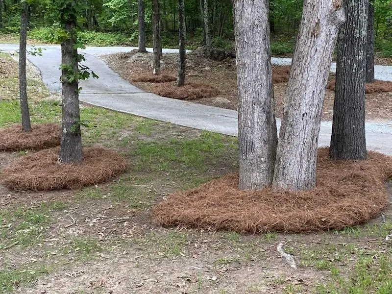 4470 SW East Fairview Drive, Stockbridge, GA 30281 - Image #2