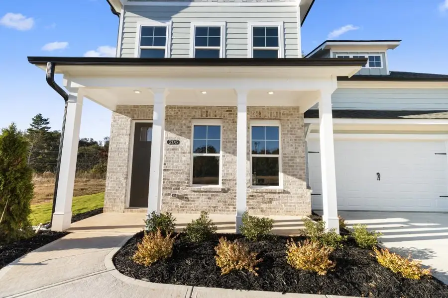 205 Crimson Feather Drive, Jefferson, GA 30549 - #3