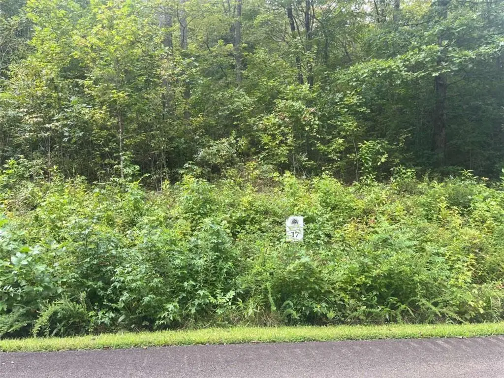 LOT 17 Staurolite Mountain Drive, Blue Ridge, GA 30513 - Image #1