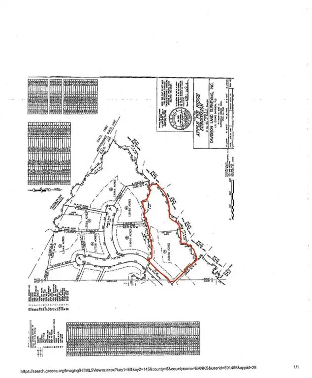 39 Planters Creek Drive, Banks, GA 30511 - #2