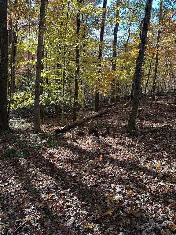 39 Planters Creek Drive, Banks, GA 30511 - #3