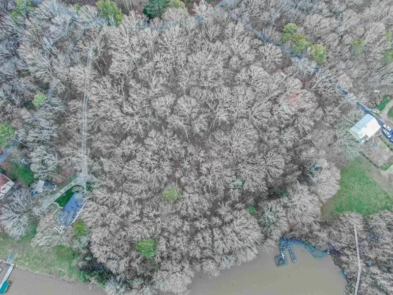 1551 Indian Woods Drive, Greensboro, GA 30642 - Image #3