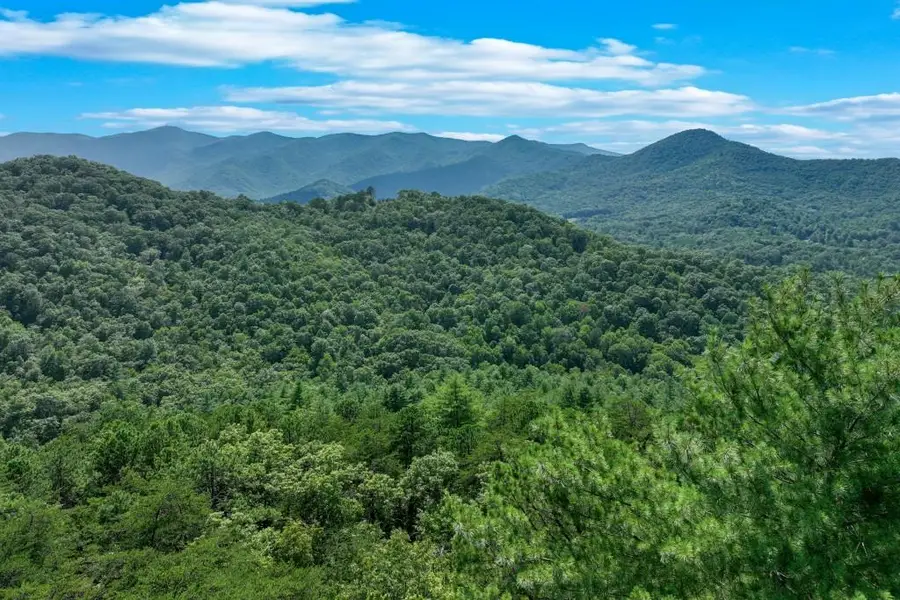 2412 Fodder Creek Mill Drive, Hiawassee, GA 30546 - #3