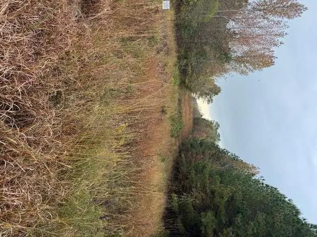 0 Moran Lake Road, Rome, GA 30165 - Image #1