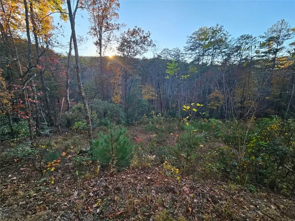 84 Spiva Cove Mtn. Trail, Blairsville, GA 30512 - Image #1