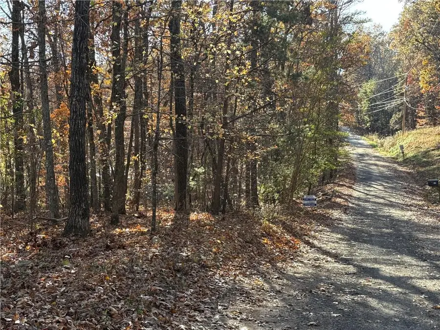 33 Eagle Ridge, Ball Ground, GA 30107 - Image #2