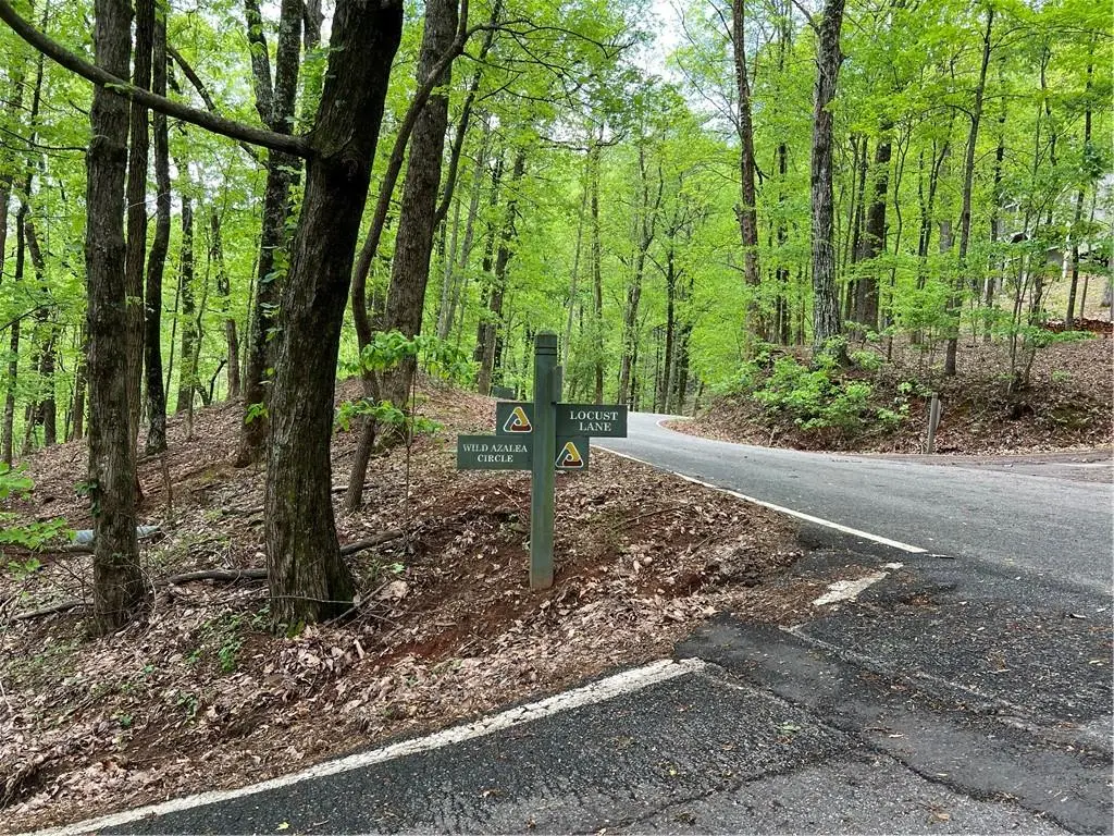 0 Valley View Drive, Jasper, GA 30143 - Image #1