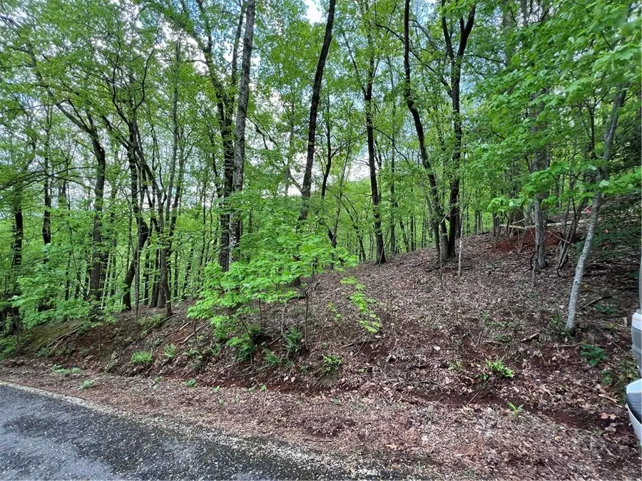 0 Valley View Drive, Jasper, GA 30143 - Image #3