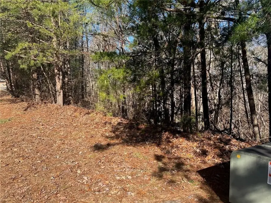 924 Whistler Lane, Canton, GA 30114 - Image #3