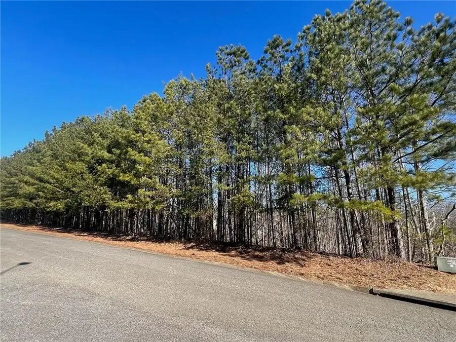 920 Whistler Lane, Canton, GA 30114 - Image #2