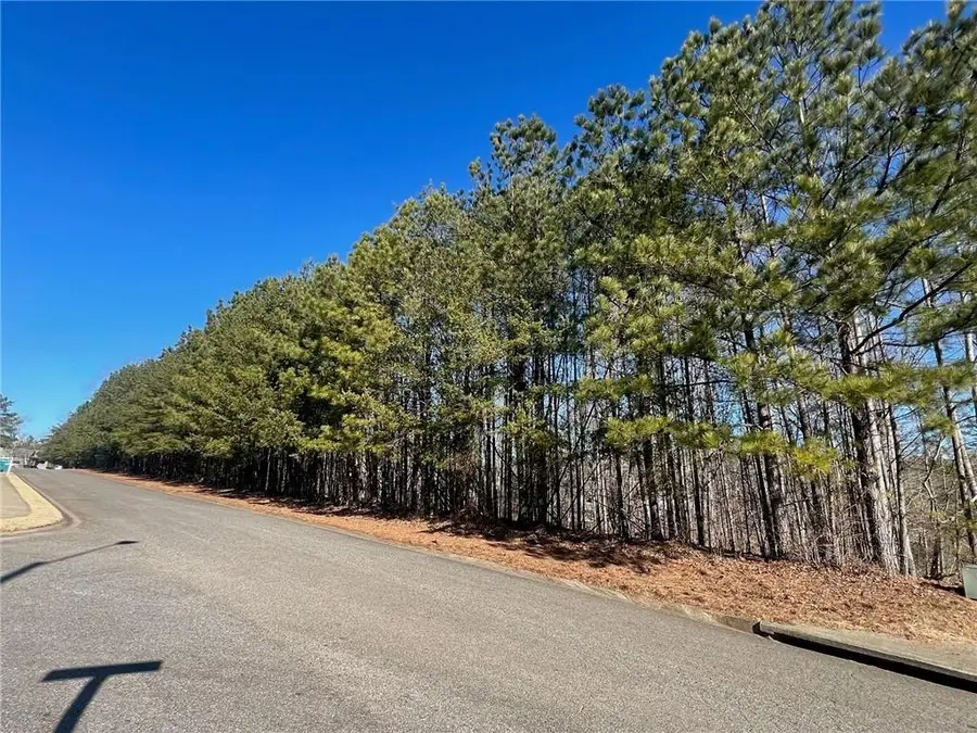 920 Whistler Lane, Canton, GA 30114 - Image #3