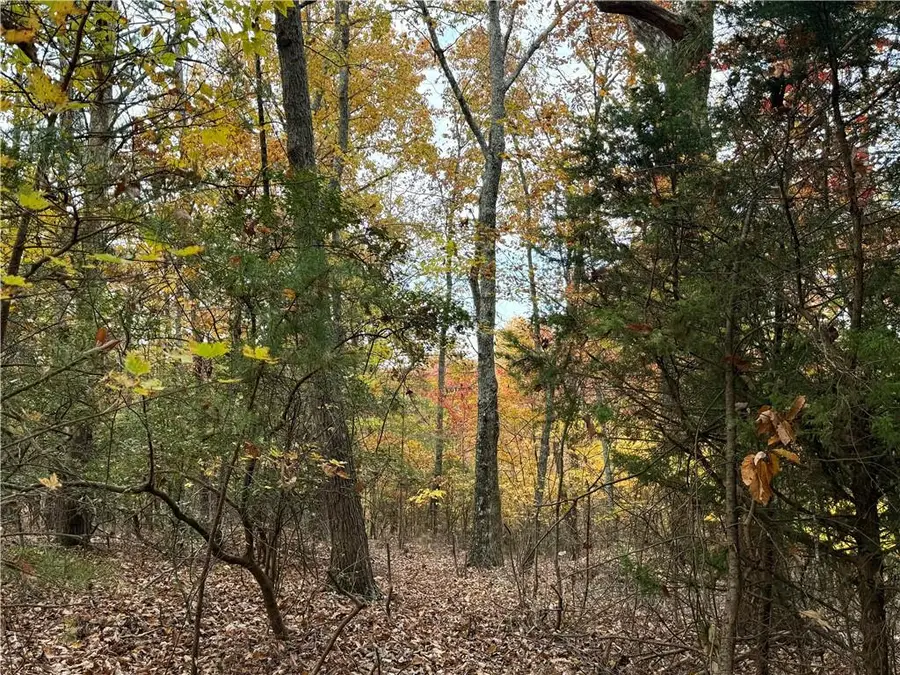 1344 Hunter Drive, Ranger, GA 30734 - Image #2