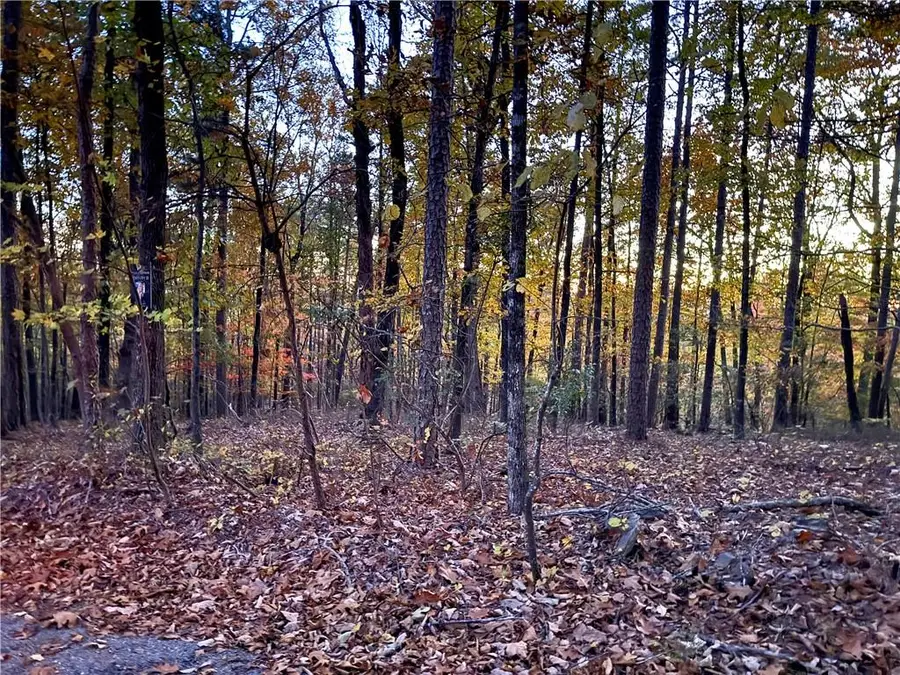 1345 Hunter Drive, Ranger, GA 30734 - Image #2