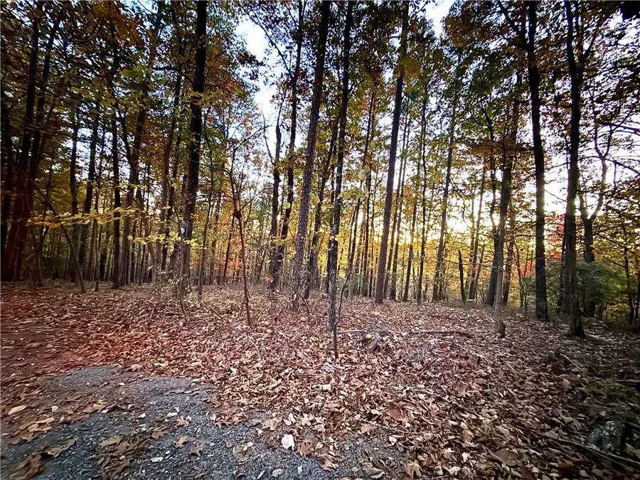 1345 Hunter Drive, Ranger, GA 30734 - Image #3