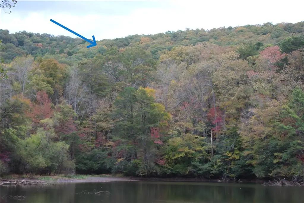 Lot 19 Owl Mountain Road, Ellijay, GA 30540 - #1