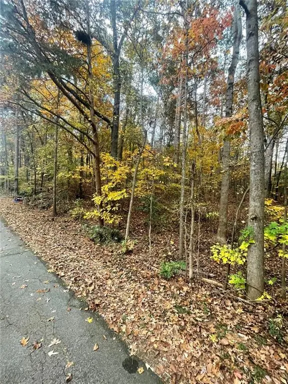 0 Lake Club Drive, Lavonia, GA 30553 - Image #1