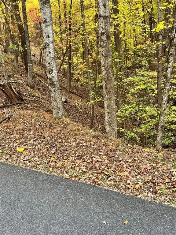 3364 Crippled Oak Trail, Jasper, GA 30143 - Image #2