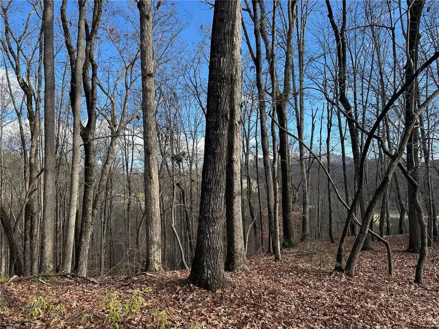 200 Mincey Acres Drive, Murrayville, GA 30564 - Image #3