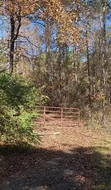 2900 Lay Springs Road, Gadsden, AL 35904 - Image #3