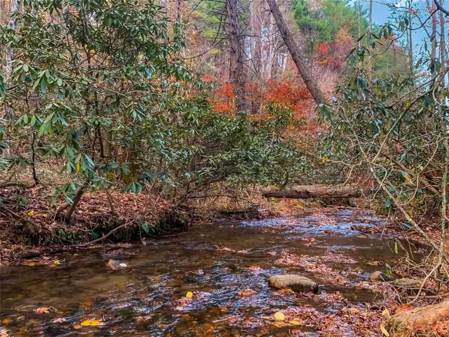 60 Bailey Creek Drive, Blue Ridge, GA 30513 - Image #2