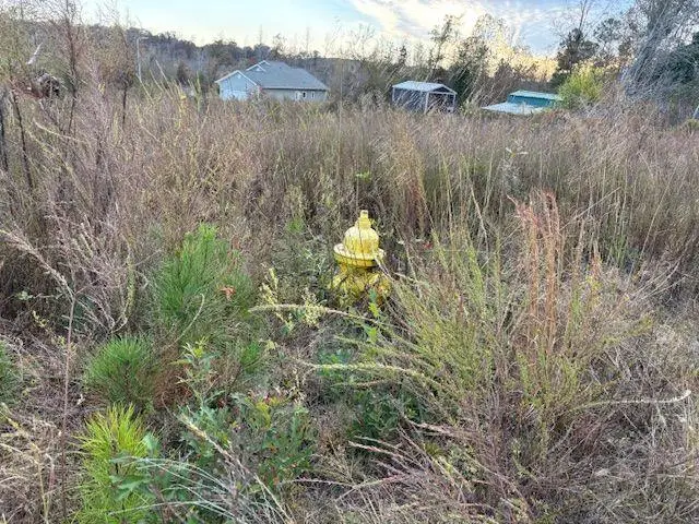 243 Kendall Drive, Griffin, GA 30224 - Image #2