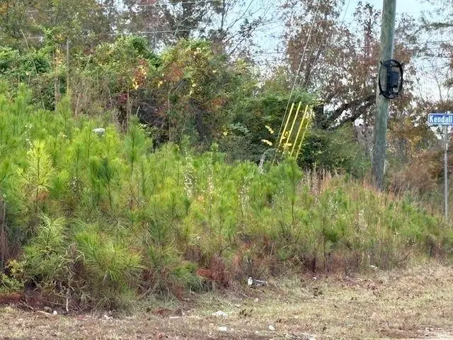 243 Kendall Drive, Griffin, GA 30224 - Image #3