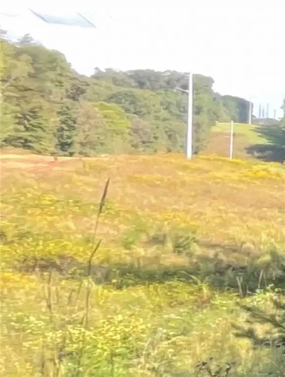 4310 Ledan Ext, Gainesville, GA 30506 - Image #2