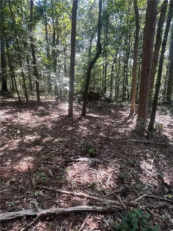 0 Fairview Farms Circle, Lavonia, GA 30553