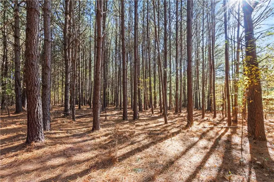 76 Paul Smith Road, Covington, GA 30014 - Image #3