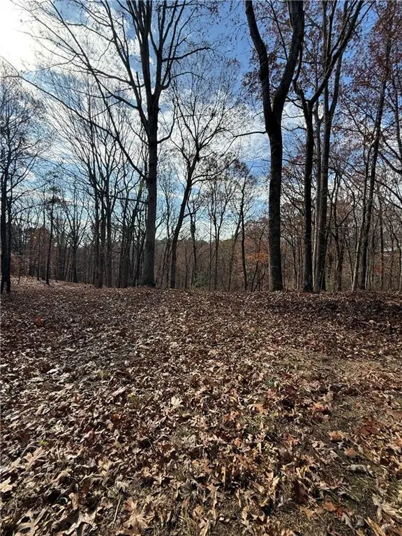 0 Orchard Road, Jasper, GA 30143 - Image #3