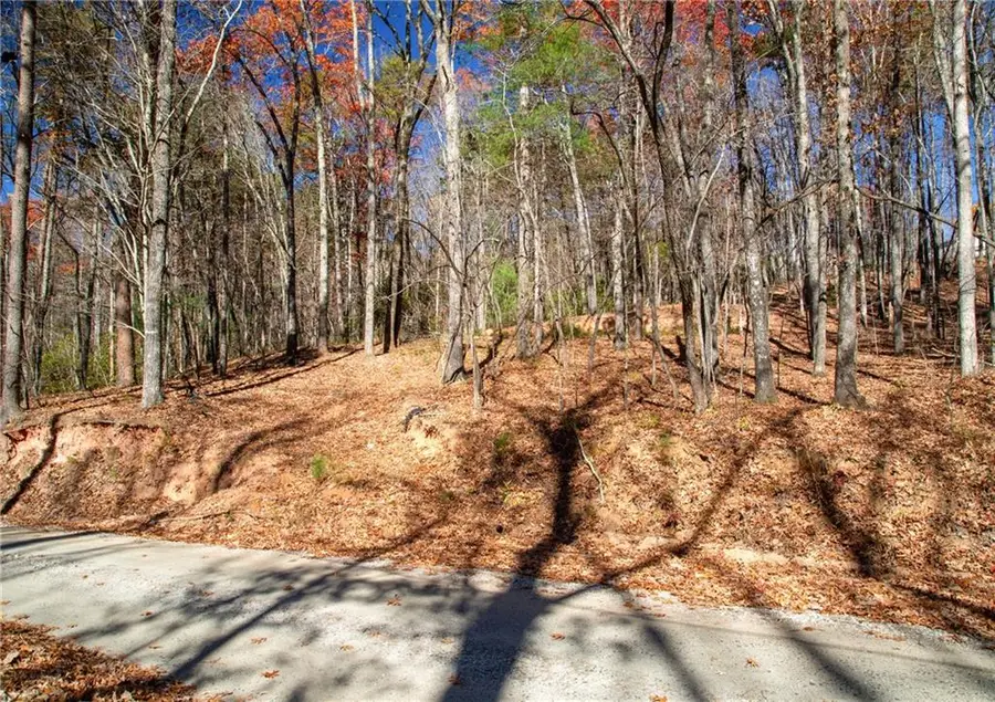 Lot123 Mountain View Road, Dawsonville, GA 30534 - Image #3