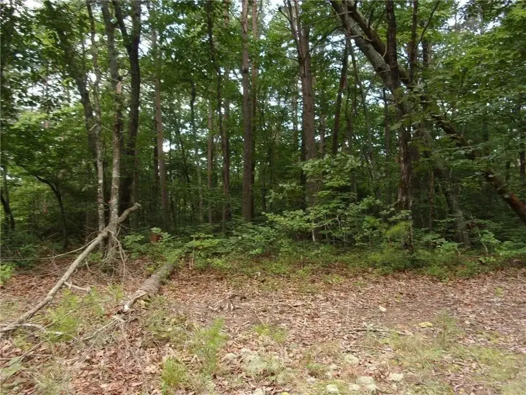 Lot124 Mountain View Road, Dawsonville, GA 30534 - #1
