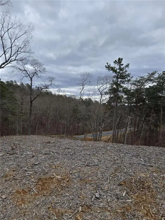 0 Canoe Way, Talking Rock, GA 30175 - Image #3