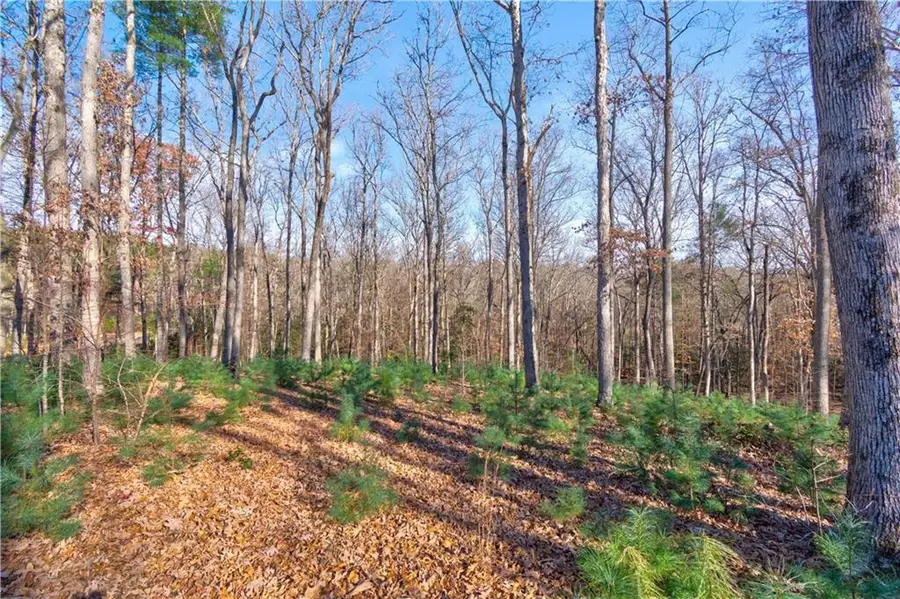 193-4 Oakwood Way, Blairsville, GA 30512 - Image #3