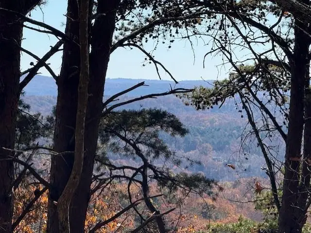 0 John Call Rd, Talking Rock, GA 30175 - Image #1