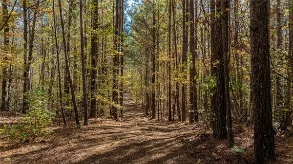 0 Jones Ferry Road #Lot 1, Chattahoochee Hills, GA 30268