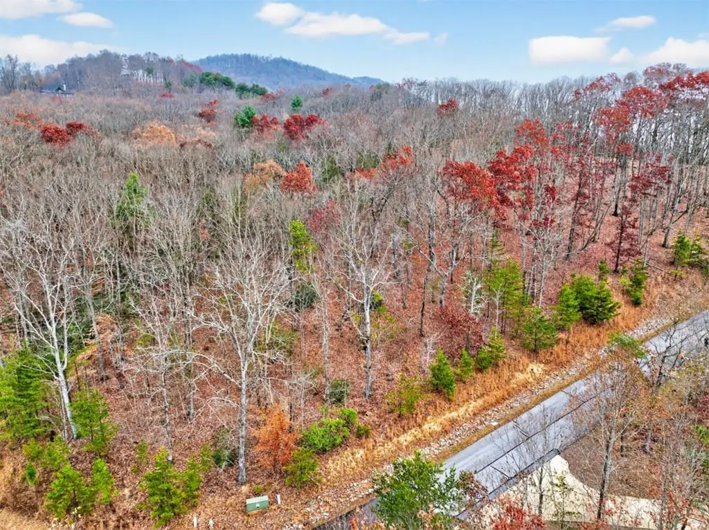 #185 Northshore Drive, Cleveland, GA 30528 - #1