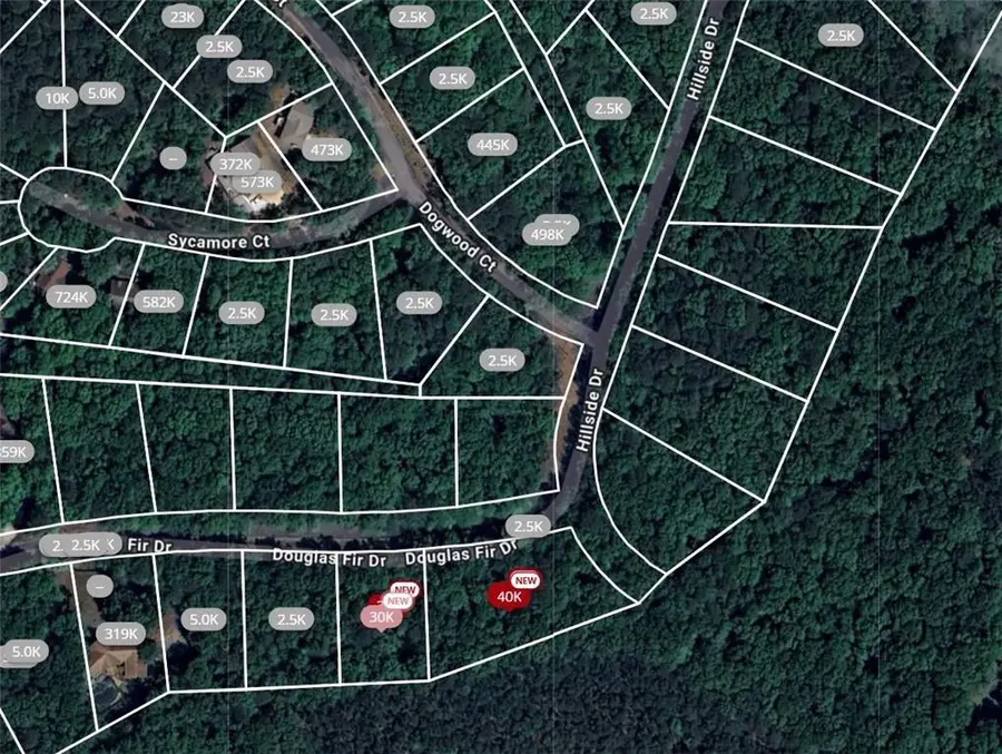 101 Douglas Fir Drive, Waleska, GA 30183 - Image #2