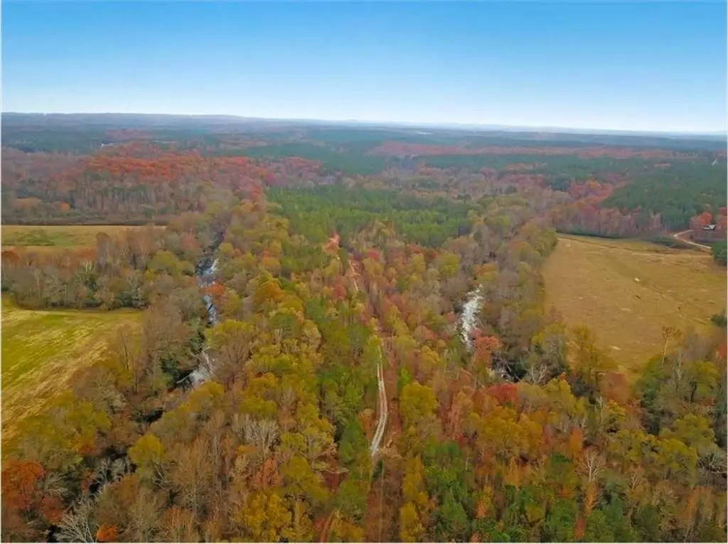 702 Liner Road, Tallapoosa, GA 30176 - Image #1