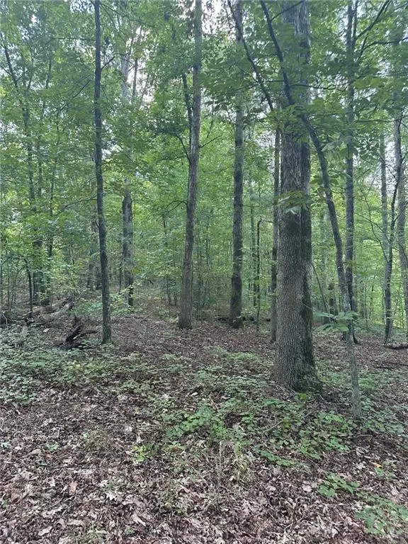 0 Fears Road, Madison, GA 30650 - Image #2