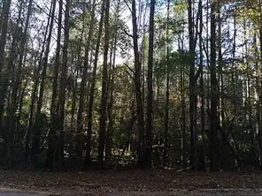 3627 Springtree Drive, Lithonia, GA 30038 - #3