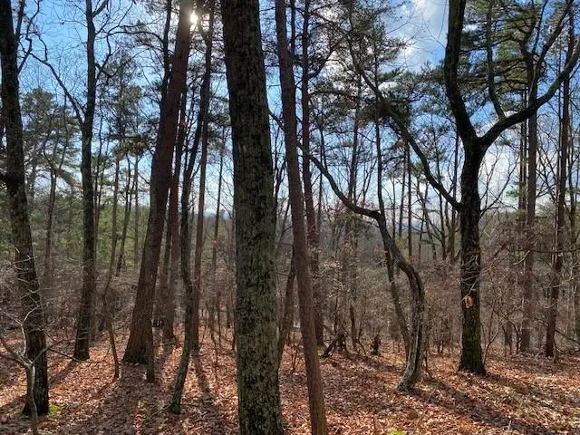 0 Quail Way, Jasper, GA 30143 - Image #2